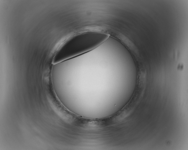 X0000112970064200908270953