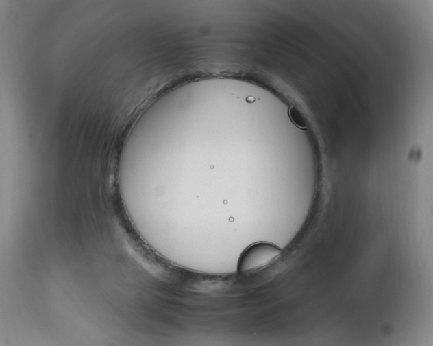 X0000112970065200908270953