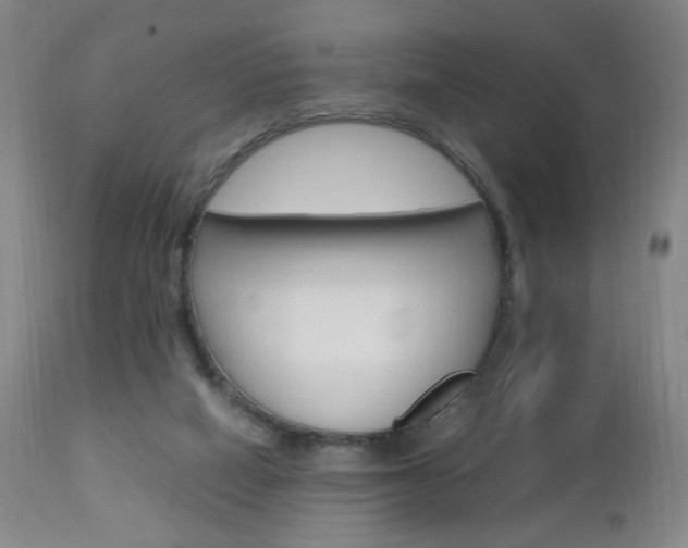 X0000112970066200908270953