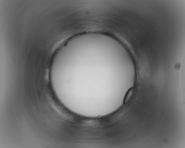 X0000112970067200908270953