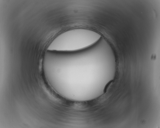 X0000112970070200908270953