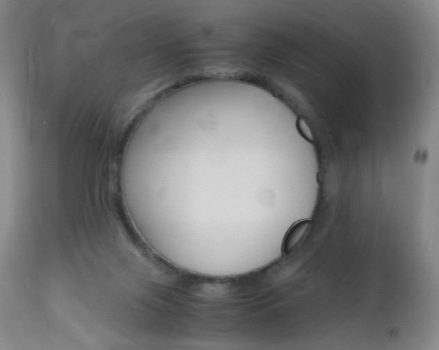 X0000112970071200908270953
