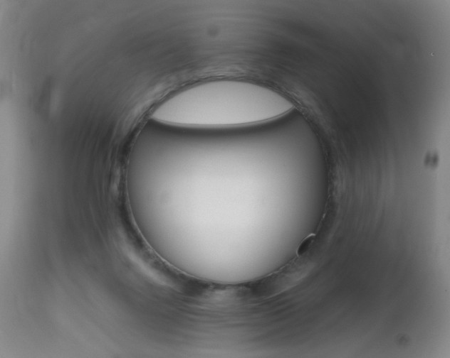 X0000112970072200908270953