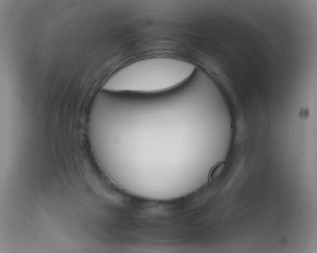 X0000112970073200908270953