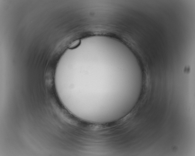 X0000112970074200908270953