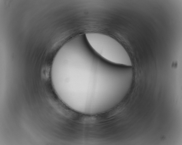 X0000112970075200908270953