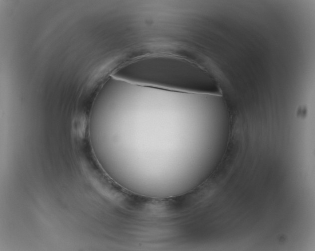 X0000112970076200908270953