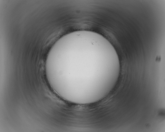 X0000112970077200908270953