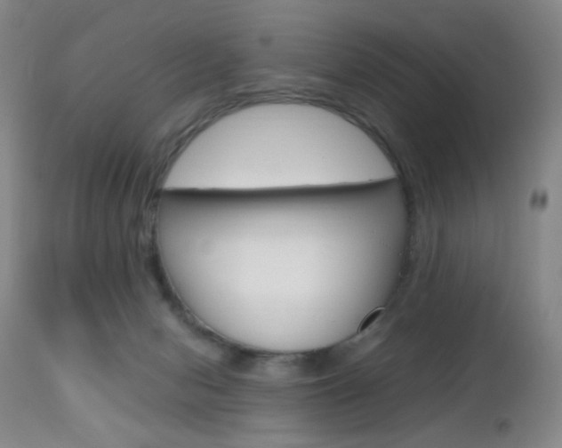 X0000112970078200908270953