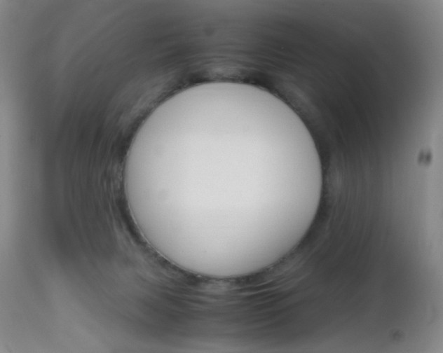 X0000112970079200908270953