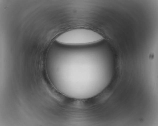 X0000112970080200908270953