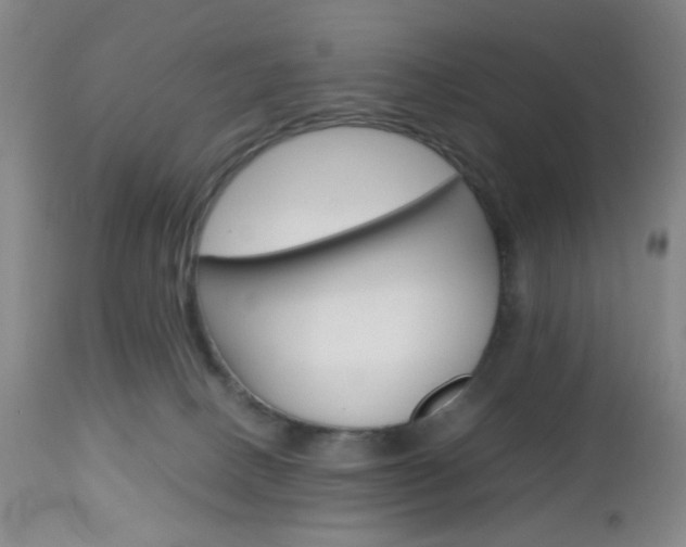 X0000112970082200908270954