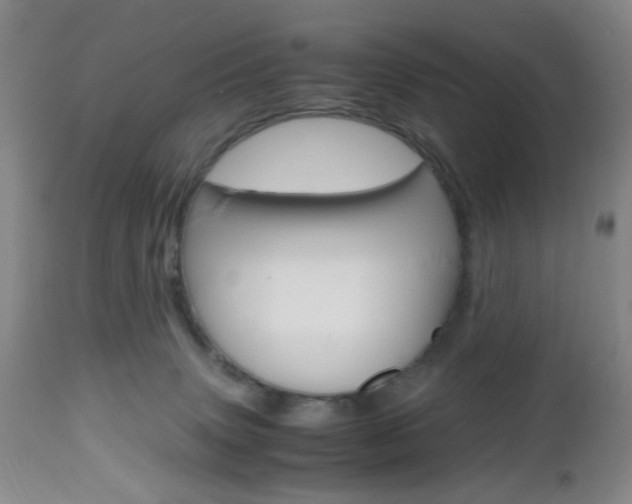 X0000112970083200908270954