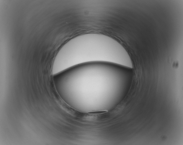 X0000112970084200908270954