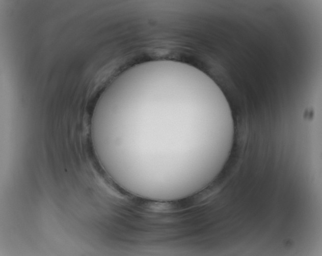 X0000112970085200908270954