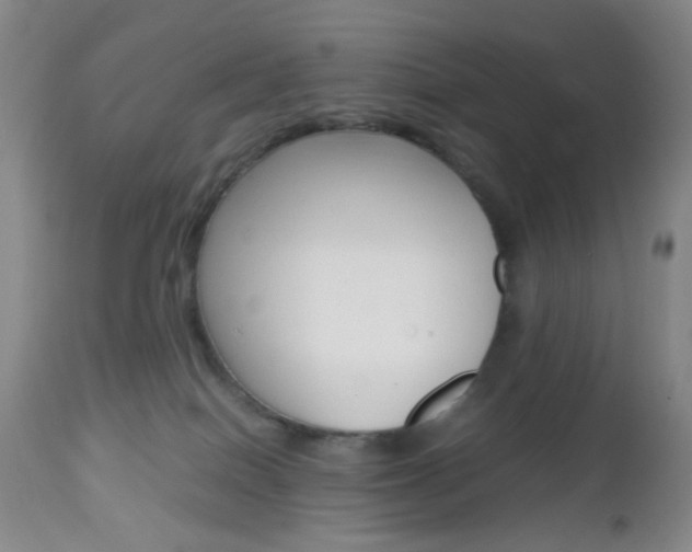X0000112970086200908270954