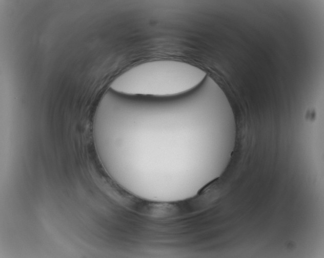 X0000112970087200908270954