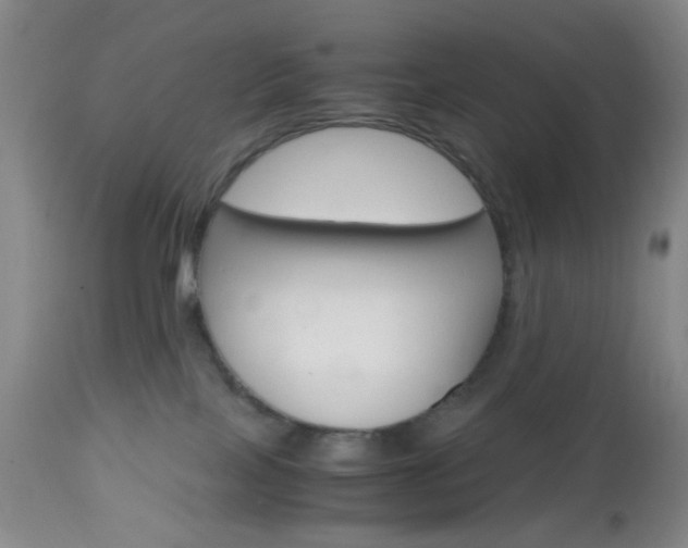 X0000112970089200908270954
