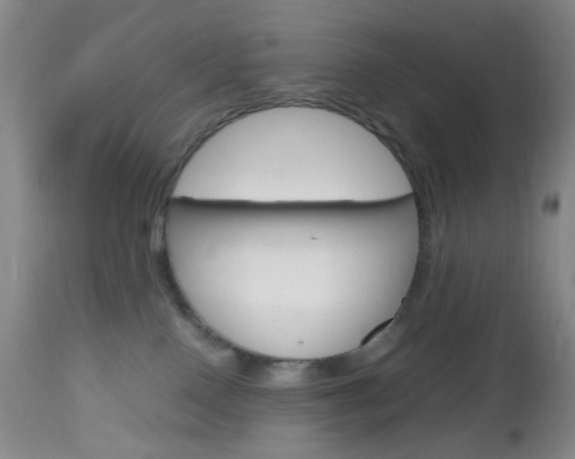 X0000112970090200908270954