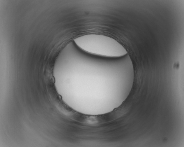 X0000112970091200908270954