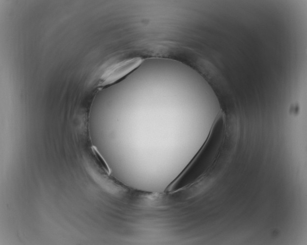 X0000112970092200908270954