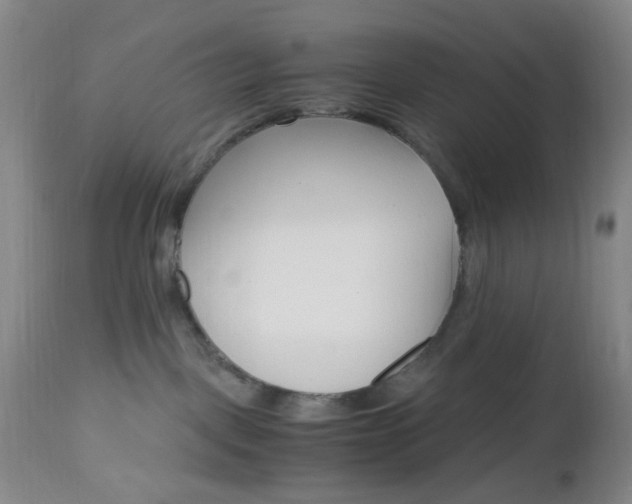 X0000112970093200908270954