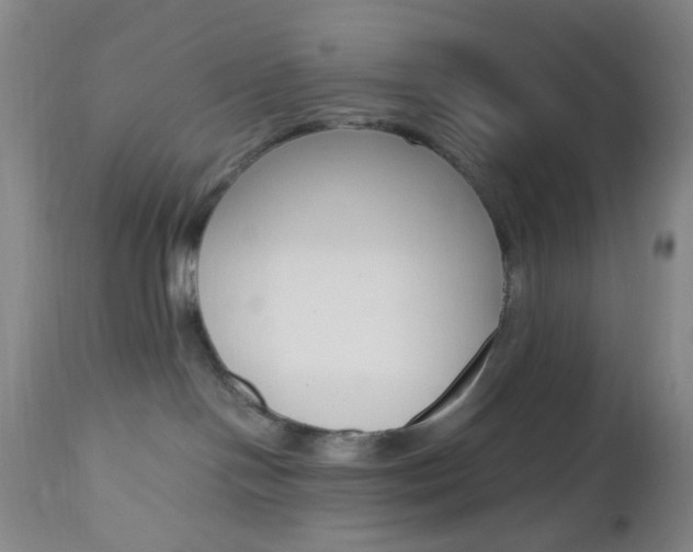 X0000112970094200908270954