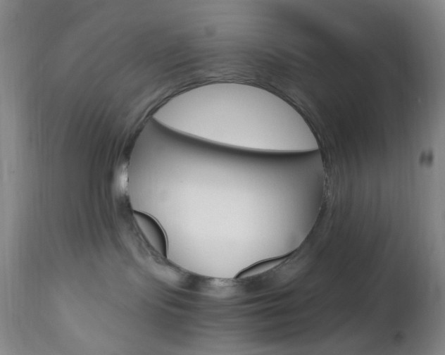 X0000112970095200908270954