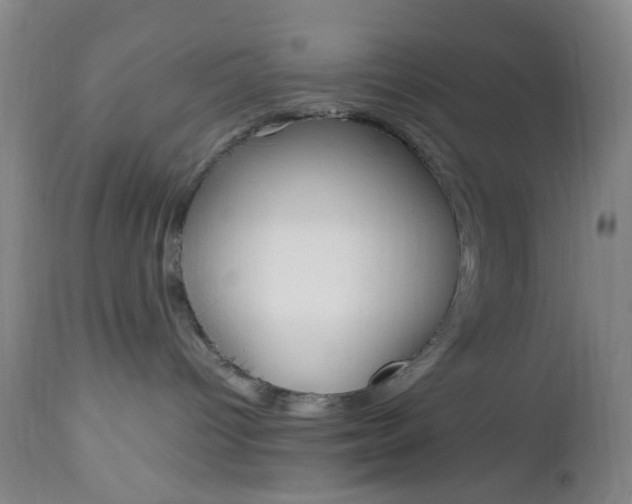 X0000112970096200908270954