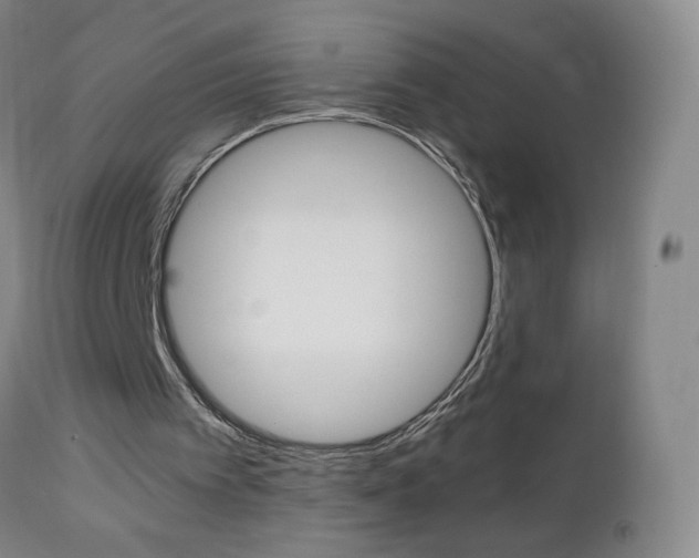 X0000112970097200908270953