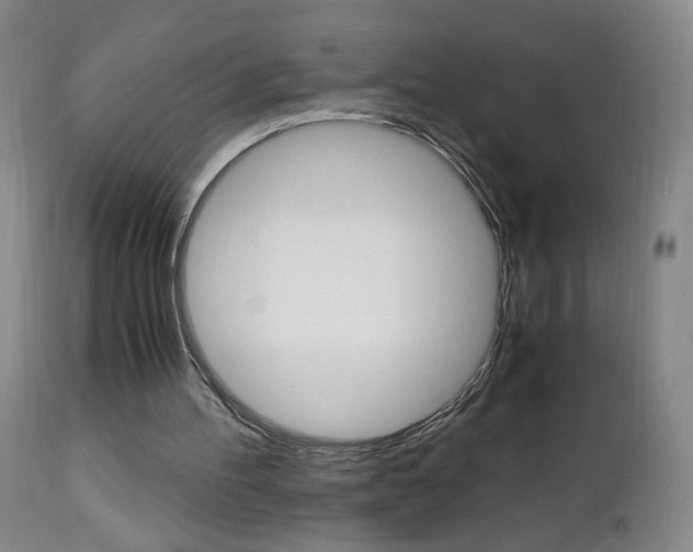 X0000112970100200908270953