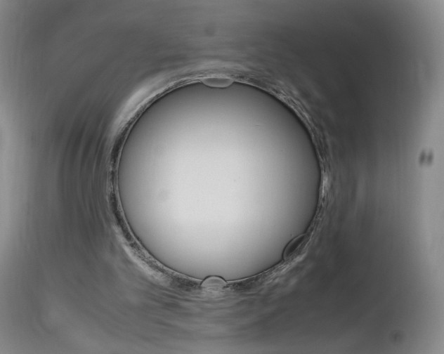 X0000112970101200908270953