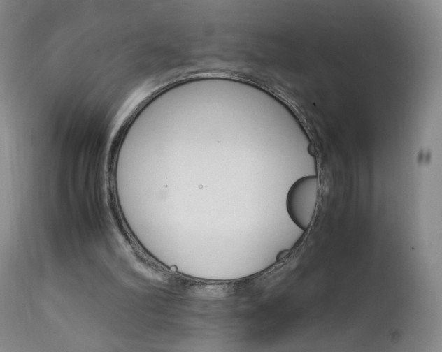 X0000112970102200908270953