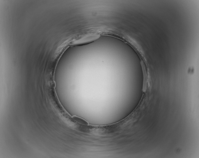 X0000112970105200908270953