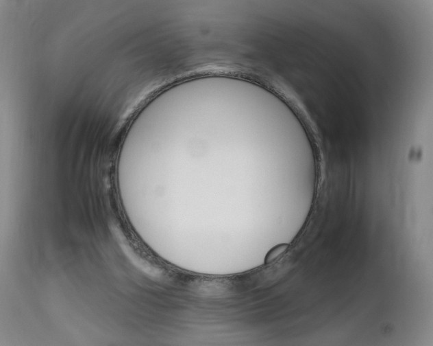 X0000112970106200908270953