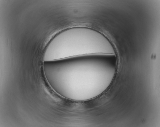 X0000112970107200908270953
