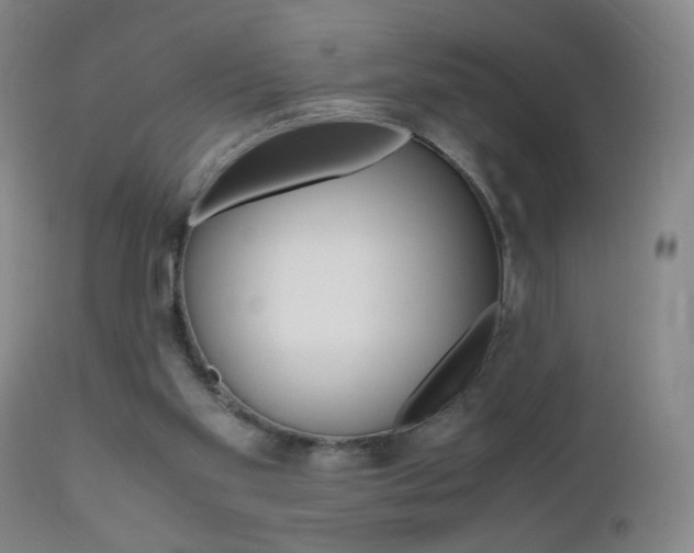 X0000112970109200908270953