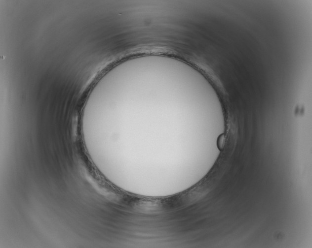 X0000112970110200908270953