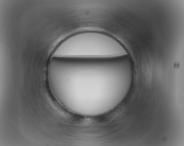 X0000112970111200908270953