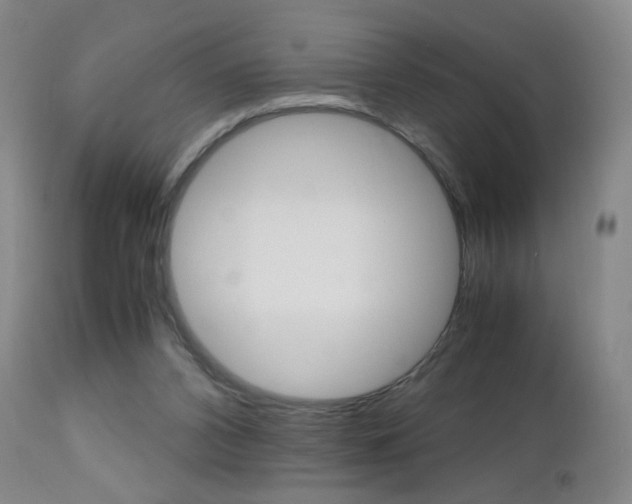 X0000112970112200908270953
