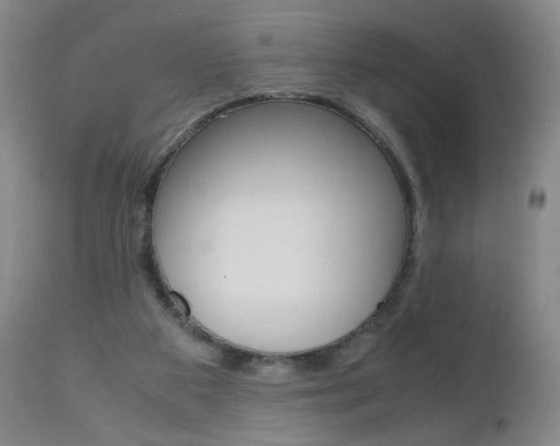 X0000112970113200908270953