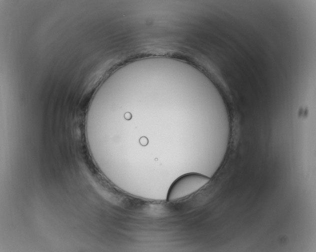 X0000112970114200908270953