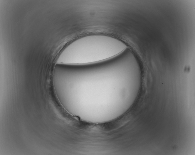 X0000112970115200908270953