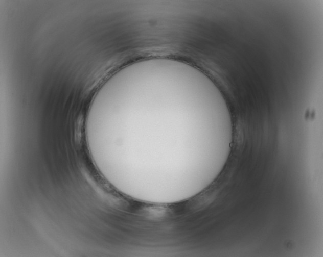 X0000112970118200908270953