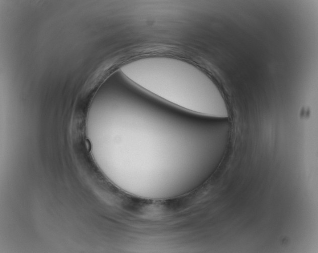 X0000112970119200908270953