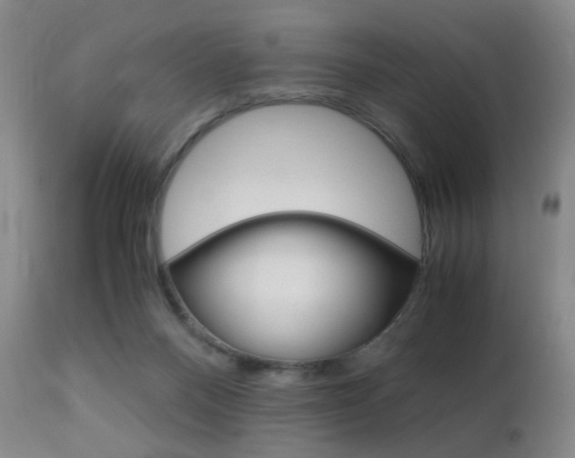 X0000112970120200908270953