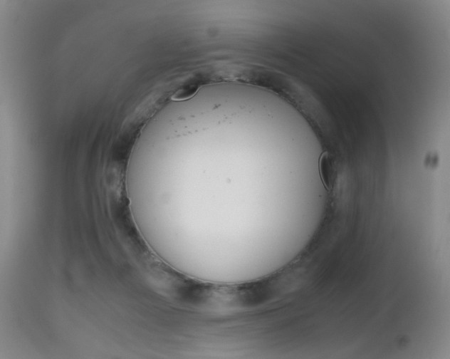 X0000112970121200908270953