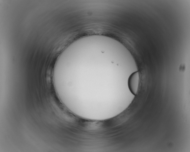 X0000112970122200908270953