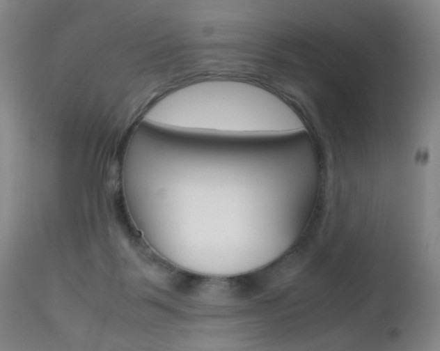 X0000112970123200908270953