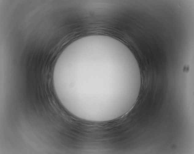 X0000112970124200908270953